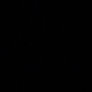 Meet your Posher, Will